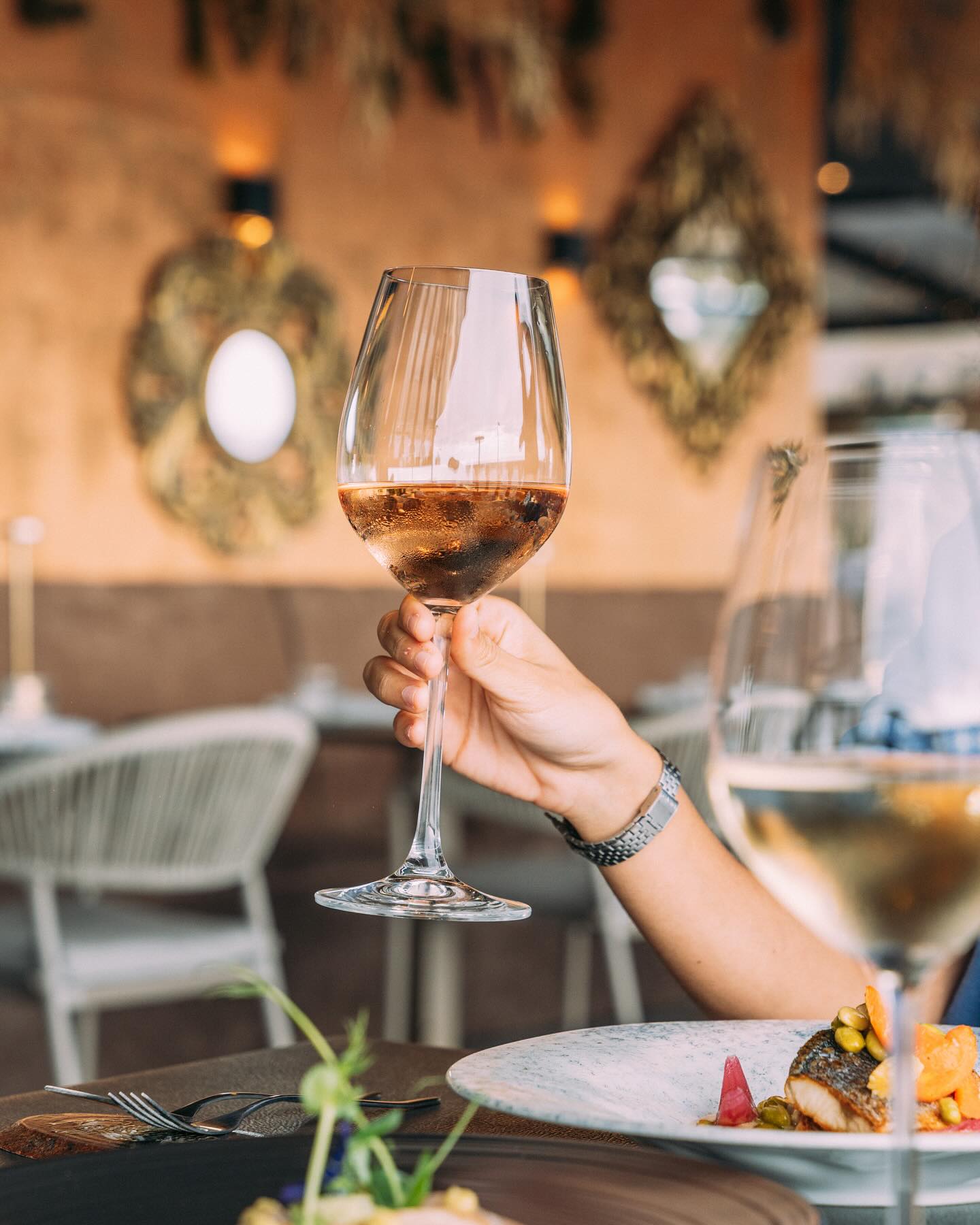 Experiencia gastronómica y vinícola en Almar