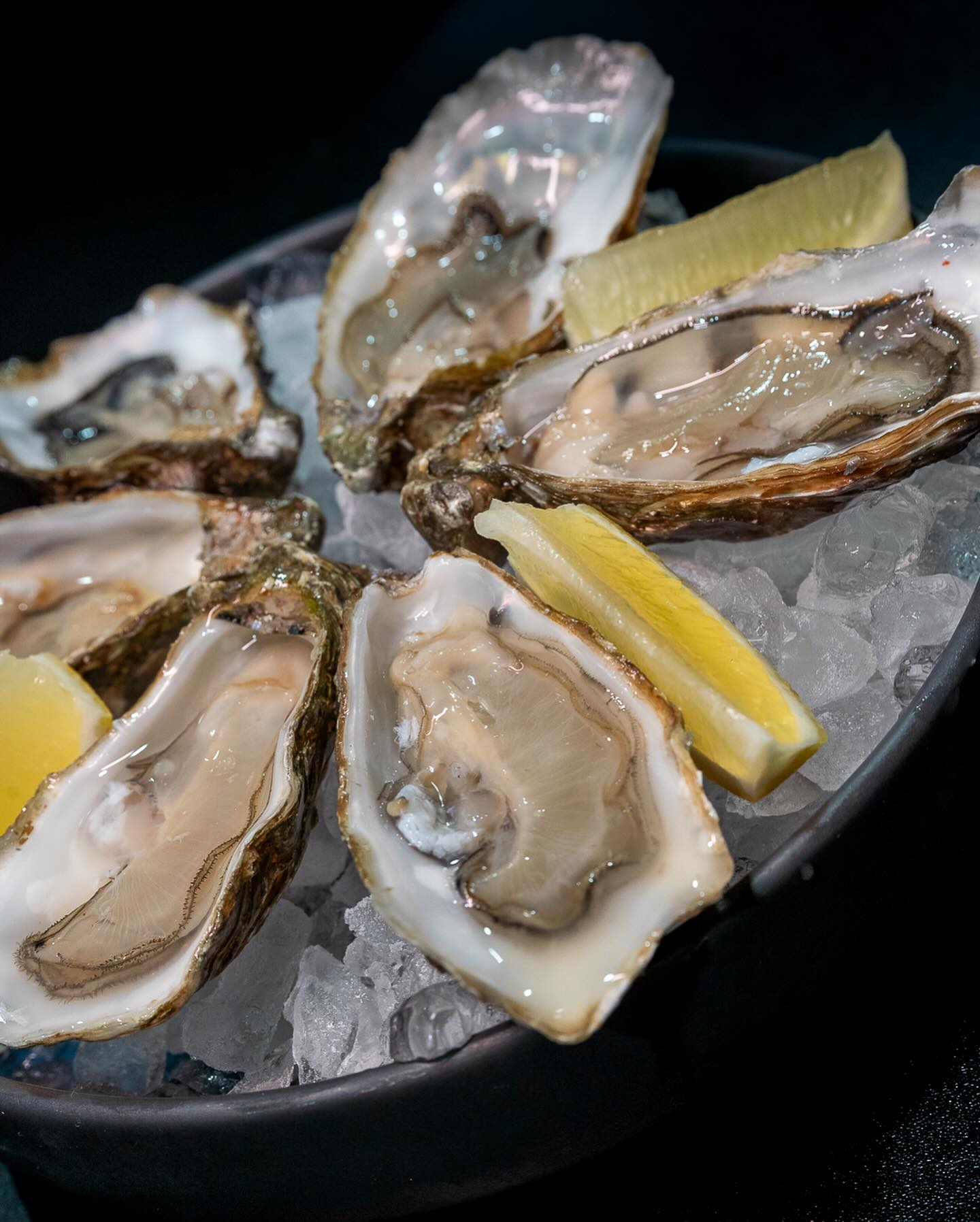 oysters-jpg.jpg